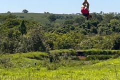 9d0ed114-afea-4454-8d2d-e477fa9b1883