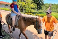 9d47c796-e50f-4e75-9c92-fac38358e90c