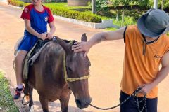 9f9fe659-be97-49c0-80c1-f161e1177c13