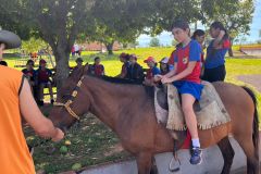 a1e3a7a1-85b6-4065-94bb-a70b5ce45043