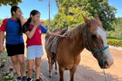 a8b6b40e-bfcf-495c-9683-4873be20c0eb