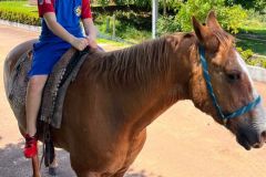 a9758582-b8b5-405c-b1c8-69001b2a7513