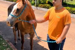 afd7b2ec-f6b8-4613-9cad-b1cd927e0031