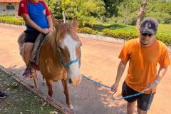 c6273d83-c0bd-40f8-88c7-ccb44a868bfc