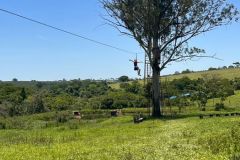 c85cf7a2-86c9-47ae-a988-776723e0905c