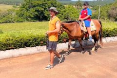 cd608156-8541-40ee-80cc-7012d465f354