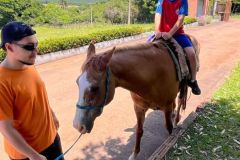 d3163913-3e36-449f-b198-8fbcfbef0099