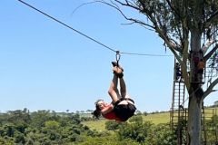 d9d6c897-0726-4b92-9809-c5a6dd7422b6