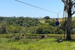 d9d75c4d-35a8-4d95-be2c-5a26f1a13eb4