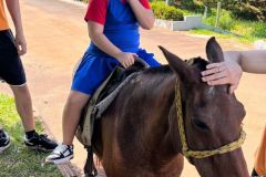 de20fc2f-b9fa-4e39-a15a-eece594d373c