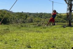 e6225d25-6c36-4bc8-9994-ee08c9a49891