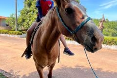 eac060ce-f728-443d-8885-eb3058e9400a