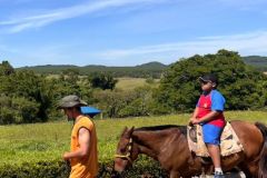 ee86b47f-789e-42bd-b256-37bea7e4b80c