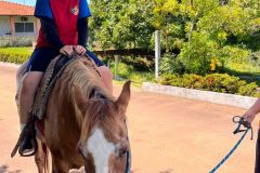 f017505a-46ca-47aa-bb0b-ad11251b69a4