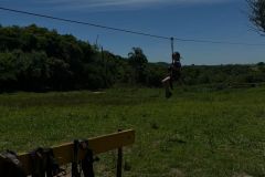 f2956ce0-85a4-42ea-b601-ca973233811c