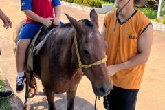 f83bb74a-25aa-4358-9831-e0cff6acd974