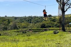 f85d0302-4364-4253-a681-03fd233dc088