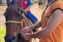 f93cdf23-4c01-49dd-8b8c-1abf6b365c08