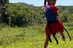 f9dc2c73-1b34-4e86-a30f-80a021454369