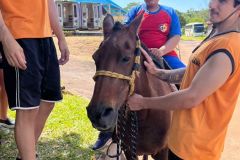 fe981cd4-3649-4c60-b241-91b607101e11