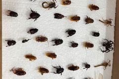 WhatsApp-Image-2025-09-19-at-15.32.55-1