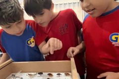 WhatsApp-Image-2025-09-19-at-15.32.59-1