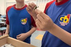 WhatsApp-Image-2025-09-19-at-15.33.00