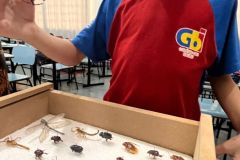 WhatsApp-Image-2025-09-19-at-15.33.01