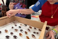 WhatsApp-Image-2025-09-19-at-15.33.02-1