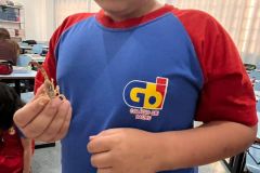 WhatsApp-Image-2025-09-19-at-15.33.03