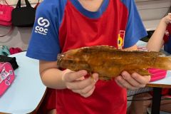 WhatsApp-Image-2025-09-19-at-15.33.04-1