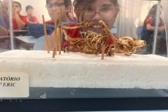 WhatsApp-Image-2025-09-19-at-15.33.04