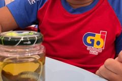 WhatsApp-Image-2025-09-19-at-15.33.05-1