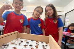 WhatsApp-Image-2025-09-19-at-15.33.07-1