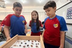 WhatsApp-Image-2025-09-19-at-15.33.08