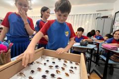 WhatsApp-Image-2025-09-19-at-15.33.12