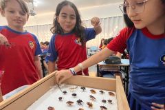 WhatsApp-Image-2025-09-19-at-15.33.16-1