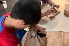 WhatsApp-Image-2025-03-19-at-15.15.06-1