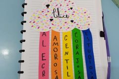 WhatsApp-Image-2025-02-06-at-08.48.34