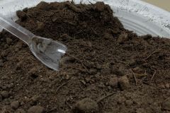 WhatsApp-Image-2025-08-13-at-20.33.43