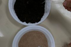 WhatsApp-Image-2025-08-13-at-20.33.52