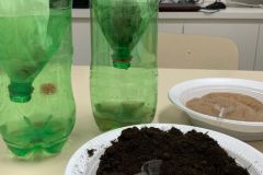 WhatsApp-Image-2025-08-13-at-20.34.04