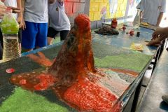 WhatsApp-Image-2025-03-12-at-16.55.38