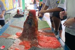 WhatsApp-Image-2025-03-12-at-16.55.39