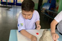 WhatsApp-Image-2025-03-12-at-16.55.45