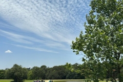 WhatsApp-Image-2024-11-27-at-11.26.03