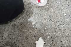 WhatsApp-Image-2025-10-09-at-16.28.40