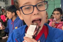 WhatsApp-Image-2025-10-13-at-11.16.28