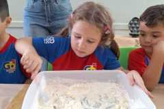 WhatsApp-Image-2025-09-01-at-17.41.11-2