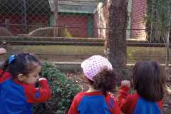 WhatsApp-Image-2025-08-14-at-14.08.20-1